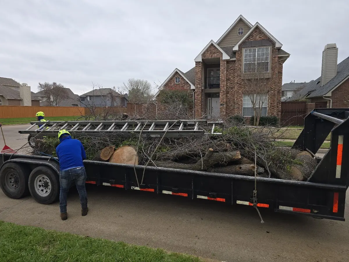 Expert Tree Fertilization with proper safety equipment in Sublimity